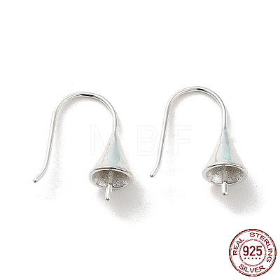 925 Sterling Silver Earring Hooks STER-K174-09S-1