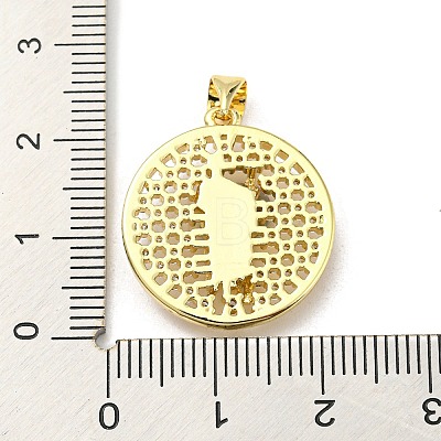 Brass with Cubic Zirconia Pendant FIND-Z023-09B-02-1