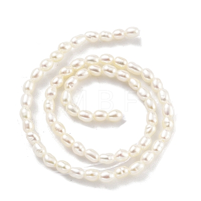 Natural Cultured Freshwater Pearl Beads Strands PEAR-P062-22-1