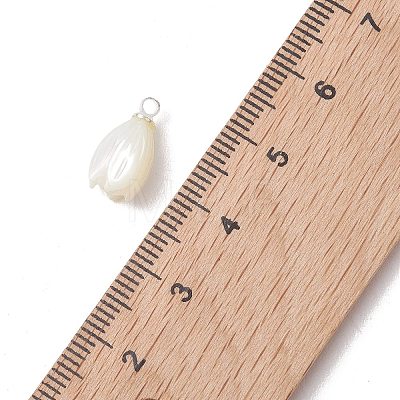 Natural Trochus Shell Pendants PALLOY-JF05371-1