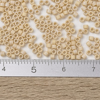 MIYUKI Delica Beads SEED-X0054-DB1591-1