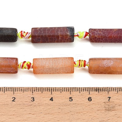Natural Weathered Agate Beads Strands G-A321-C02-01B-1