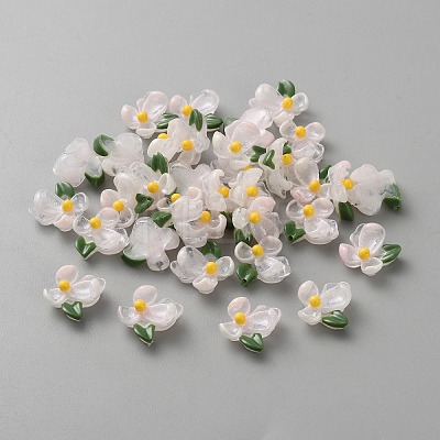 Transparent Resin Cabochons FIND-CJC0437-024H-1