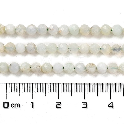 Natural Green Opal Beads Strands G-Z035-A02-03B-1