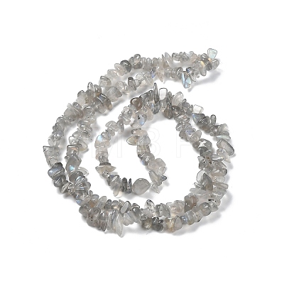 Natural Labradorite Beads Strands G-P497-03A-04-1