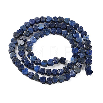 Dyed Natural Lapis Lazuli Beads Strands G-M403-A30-01-1