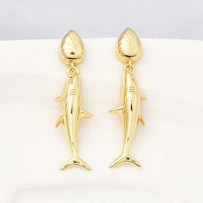 Brass Dangle Earrings EJEW-D352-06G-01-1