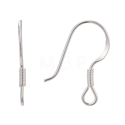 925 Sterling Silver Earring Hooks STER-G011-09-1