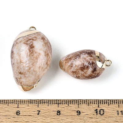 Electroplate Natural Shell Pendants SSHEL-N042-06-1