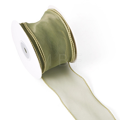 Polyester Mesh Ribbon SRIB-TAC0002-29A-01-1