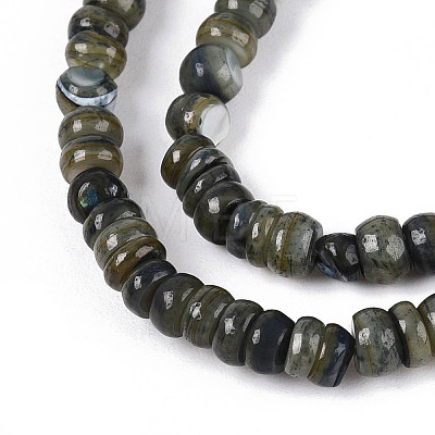 Natural Freshwater Shell Dyed Beads Strands SHEL-T020-29A-1