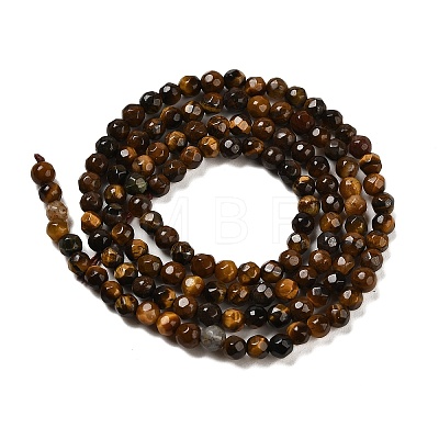 Natural Tiger Eye Beads Strands G-Z068-B01-01-1