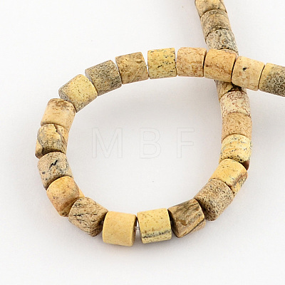 Natural Picture Jasper Stone Bead Strands G-R187-12-1