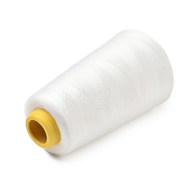 3000M Polyester Machine Embroidery Threads FB-CBA5736-01G-1