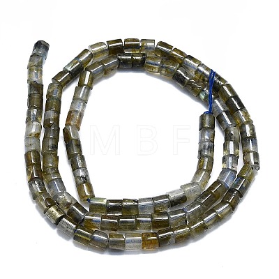 Natural Labradorite Beads Strands G-K245-C01-01-1