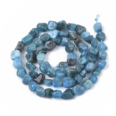 Natural Apatite Beads Strands G-S363-046A-1