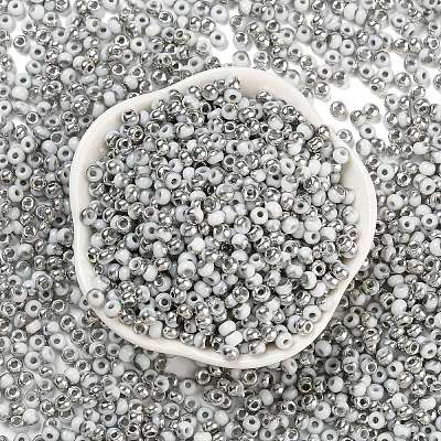 Metallic Colors Glass Seed Beads SEED-Z001-C-D10-1
