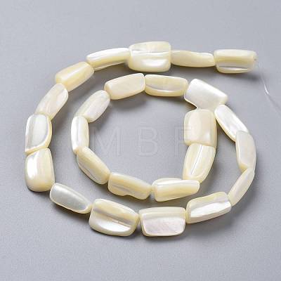 Natural Shell Beads Strands SSHEL-K026-01-1