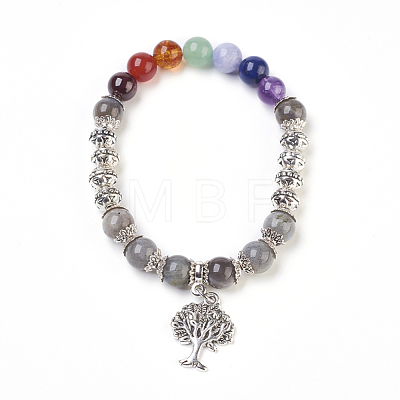 Chakra Jewelry BJEW-JB03829-04-1