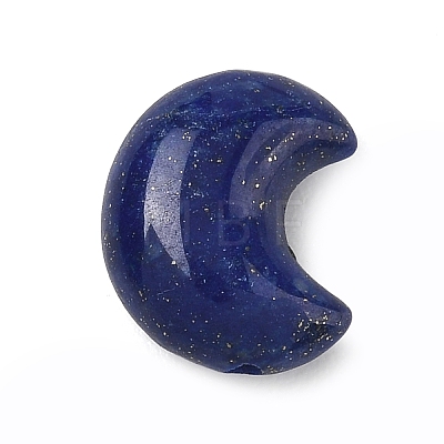 Natural Lapis Lazuli Beads G-T149-01E-1