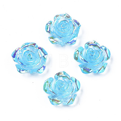 Transparent Resin Cabochons LS-CRES-N030-001B-02-1