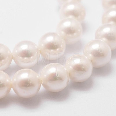 Rainbow Plated Shell Pearl Bead Strands X-BSHE-L025-02-6mm-1