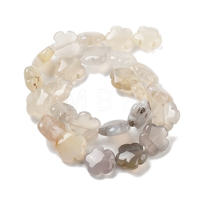 Natural White Agate Beads Strands G-F769-G01-01-1