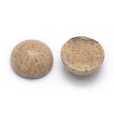 Natural Picture Jasper Cabochons G-P393-R51-4MM-1