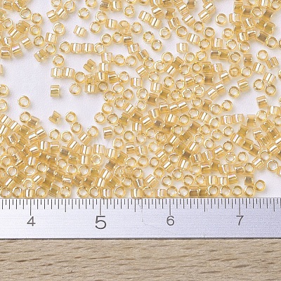MIYUKI Delica Beads Small X-SEED-J020-DBS0100-1