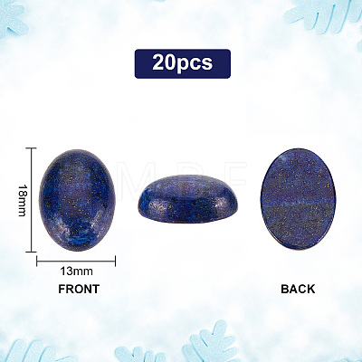   Natural Lapis Lazuli Flat Back Cabochons G-PH0002-22B-1