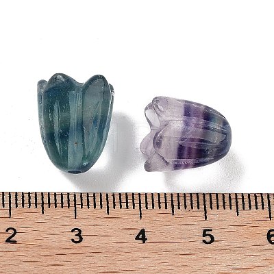 Natural Fluorite Beads G-A222-03F-1