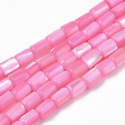 Natural Trochid Shell/Trochus Shell Beads Strands SHEL-N003-26-B04-1