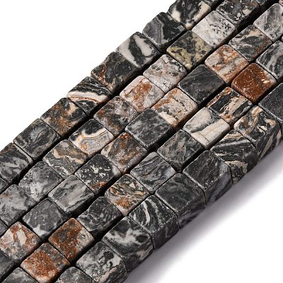 Natural Map Stone Beads Strands X-G-T139-8x8-45A-1