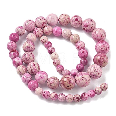 Natural Fossil Graduated Beads Strands G-F830-A03-01-1