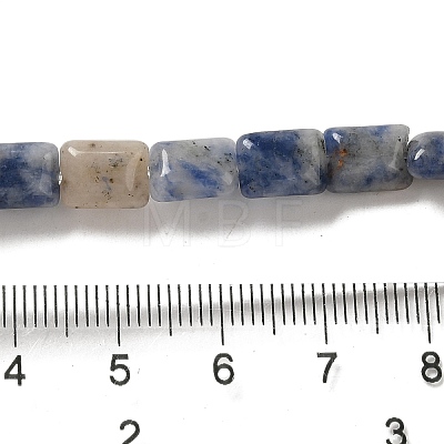 Natural Sodalite Beads Strands G-G085-A18-01-1