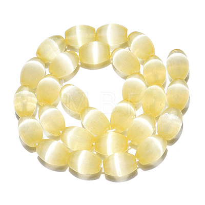 Dyed Natural Selenite Beads Strands G-T138-232J-1