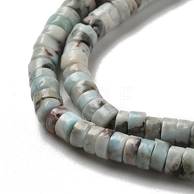 Natural Larimar Beads Strands G-Q024-B03-01-1