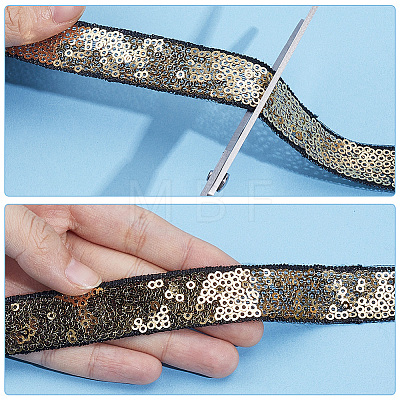 10 Yards Polyester Paillette Ribbon OCOR-CY0004-70C-1