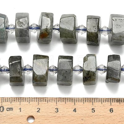 Natural Labradorite Beads Strands G-L642-H05-01-1