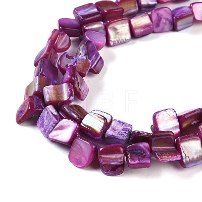 Dyed Natural Freshwater Shell Beads Strands SHEL-P016-01D-1