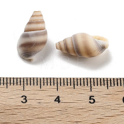 Natural Spiral Shell Beads BSHE-G038-06B-1