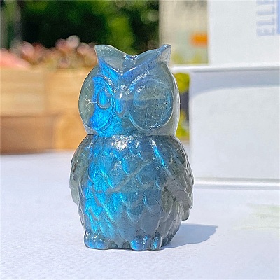 Natural Labradorite Carved Healing Owl Figurines PW-WG54127-01-1