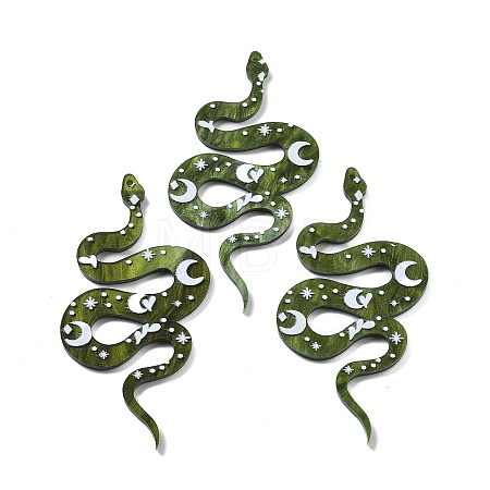Western Style Acrylic Big Pendants OACR-I002-01-1
