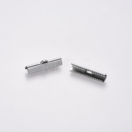Non-Tarnish 304 Stainless Steel Ribbon Crimp Ends STAS-S112-001G-P-1