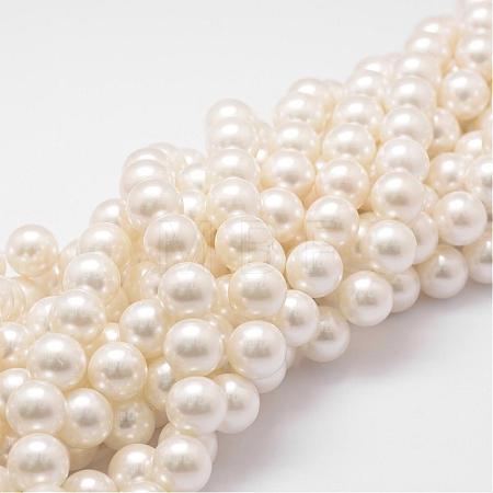 Shell Pearl Bead Strands BSHE-L026-03-14mm-1