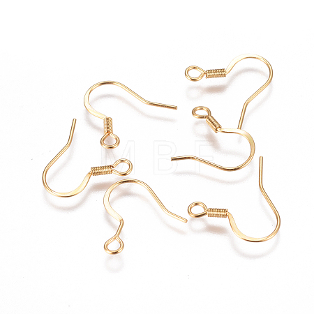 304 Stainless Steel French Earring Hooks STAS-I120-21-G-1