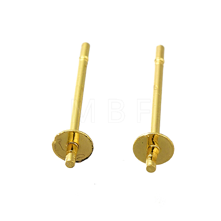 304 Stainless Steel Stud Earring Findings STAS-P370-01A-G-1