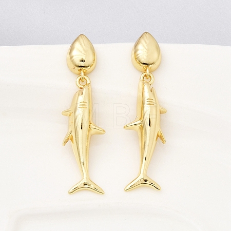 Brass Dangle Earrings EJEW-D352-06G-01-1