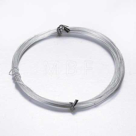 Round Aluminum Craft Wire AW-D009-1mm-10m-21-1