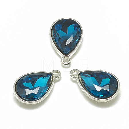 Alloy Glass Charms PALLOY-T028-7x10mm-14-1